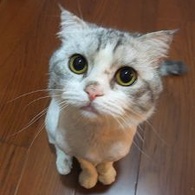mosu
