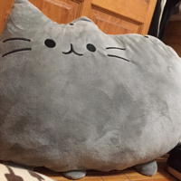 Pusheen _lover_ [rotary39873] - Plurk